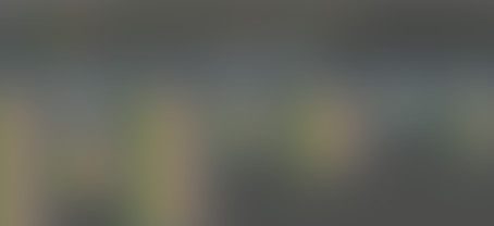 Blurred image