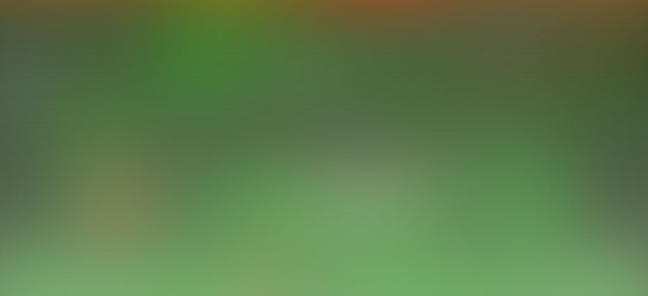 Blurred image
